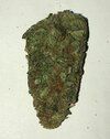 IMG_5941.jpeg