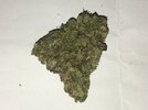 IMG_6341.jpeg