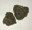 IMG_6436.jpeg