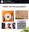 IMG_8762.jpeg