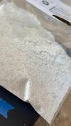 IMG_9103.jpeg