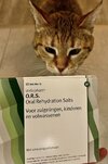 IMG_6948.jpeg