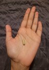 20250721_062629.jpg