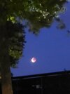 20250907_210249.jpg