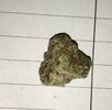 IMG_1484.jpeg