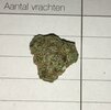 IMG_1483.jpeg