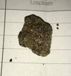 IMG_1919.jpeg