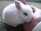 hold-me.gif