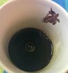 IMG_6491.jpeg