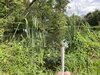 2065840D-AEDD-4148-9AA6-4C801769E666.jpeg