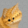 200 (2).gif