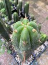 IMG_7652.jpeg