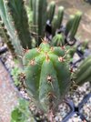 IMG_7651.jpeg