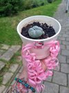 20260606_203636.jpg