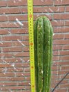 29834.jpg 29834.jpg