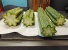 29830.jpg 29830.jpg