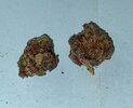 IMG_0121.jpeg