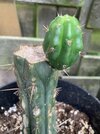 IMG_3652.jpeg