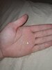 20200915_221342.jpg