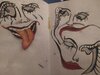 IMG_20201003_205830.jpg