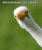 1601791624371.png