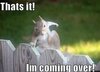 thats-it-im-coming-over~2.jpg