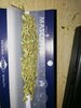 IMG-20201017-WA0000.jpg