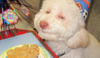 1602965047959.png