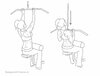 Fitness-oefeningen-rug-pulldown-omgekeerde-greep-1.jpg