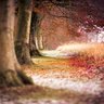 InnerJourney