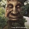 wisemysticaltree