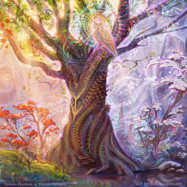 125c371c8a0b338295bd513c3fa22e39.gif