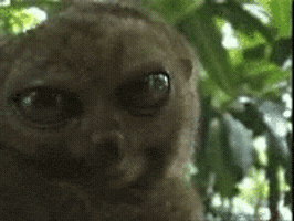 200_d.gif