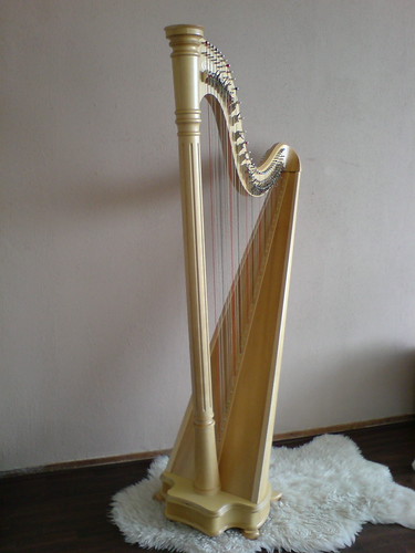 4100838808_18be94a965.jpg