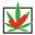 www.cannabis-kieswijzer.nl