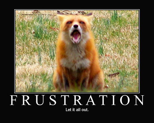 frustration.gif