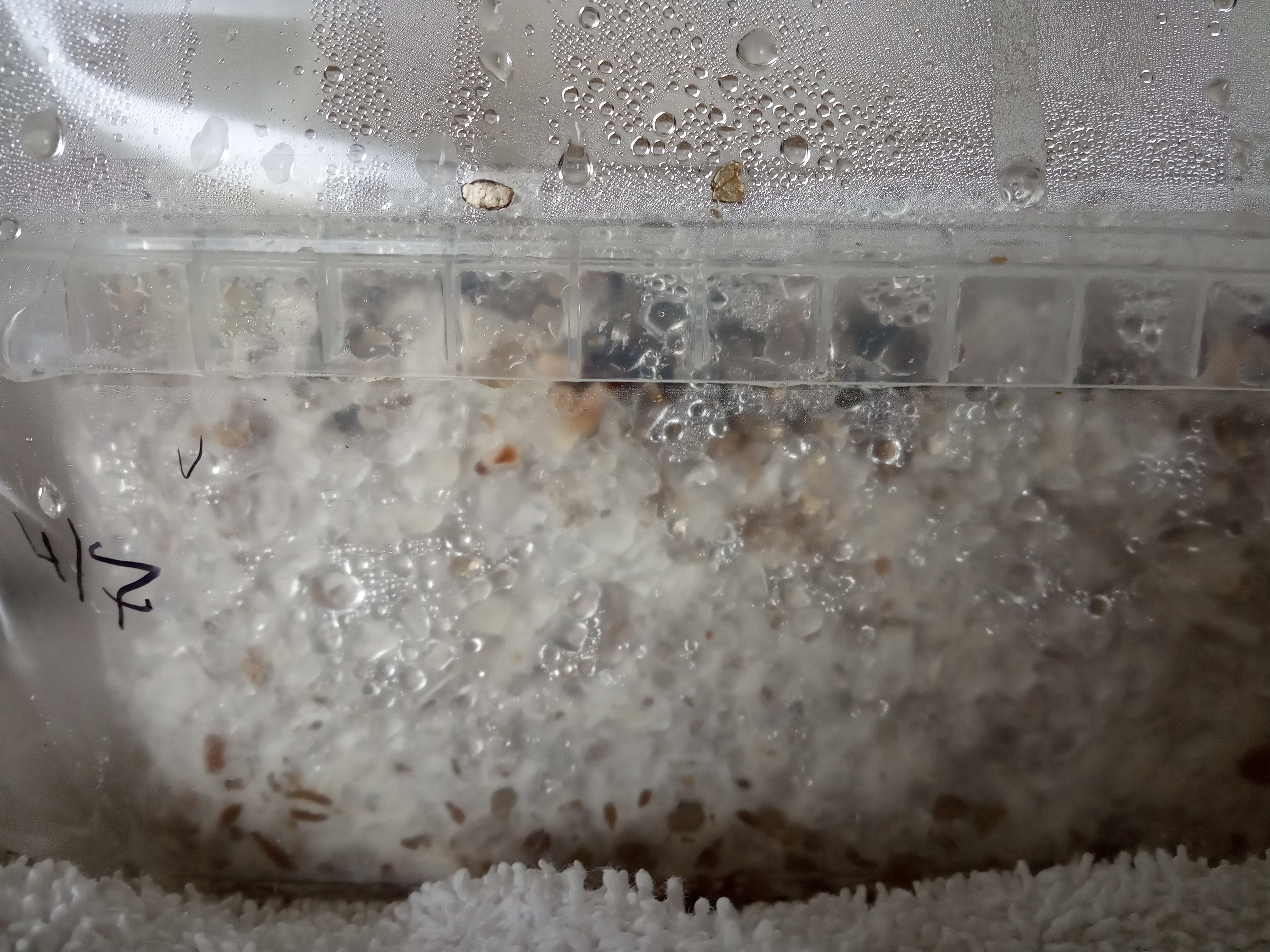IMG-20190719-120950.jpg
