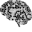 orthobrainhealth.nl