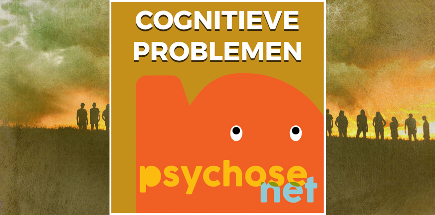 www.psychosenet.nl
