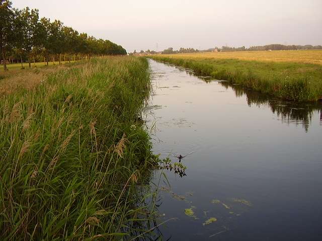 p6040092of9.jpg