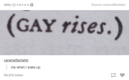 f1b.jpg