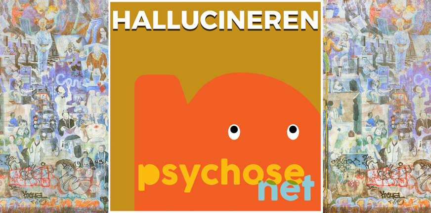 www.psychosenet.nl
