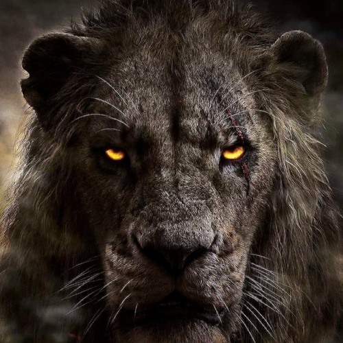 soundcloud.app.goo.gl