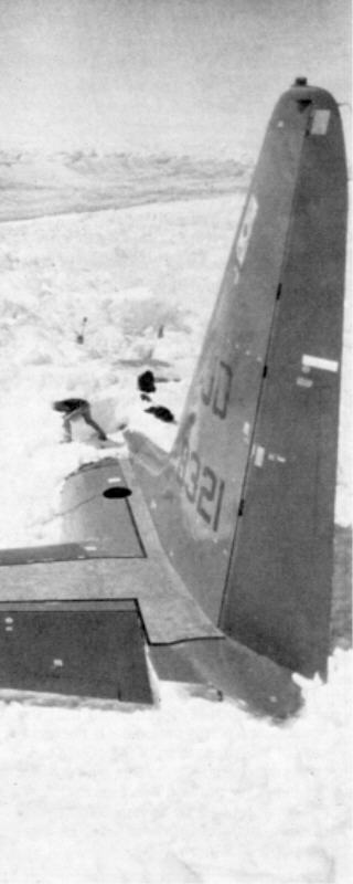 tail1.jpg